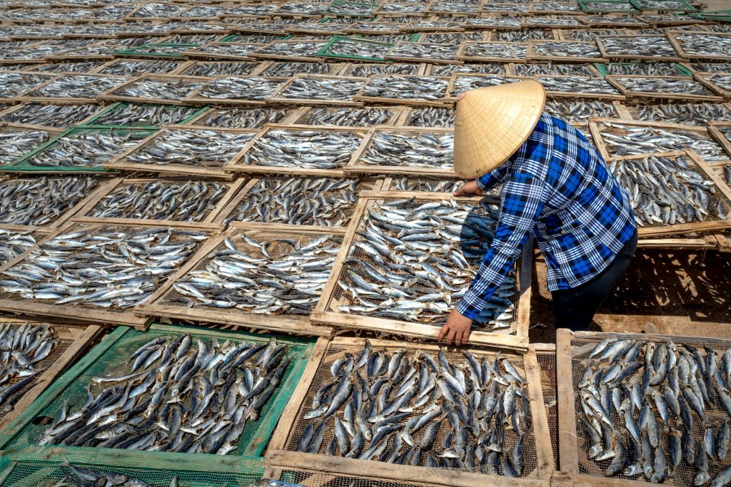 vanbachtung-image-fried-fish-0233